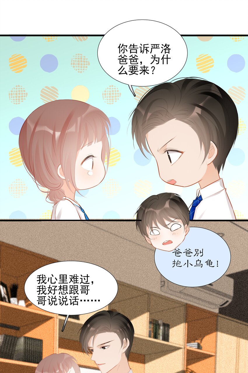 019 还是我的小乌龟最听话-第19话