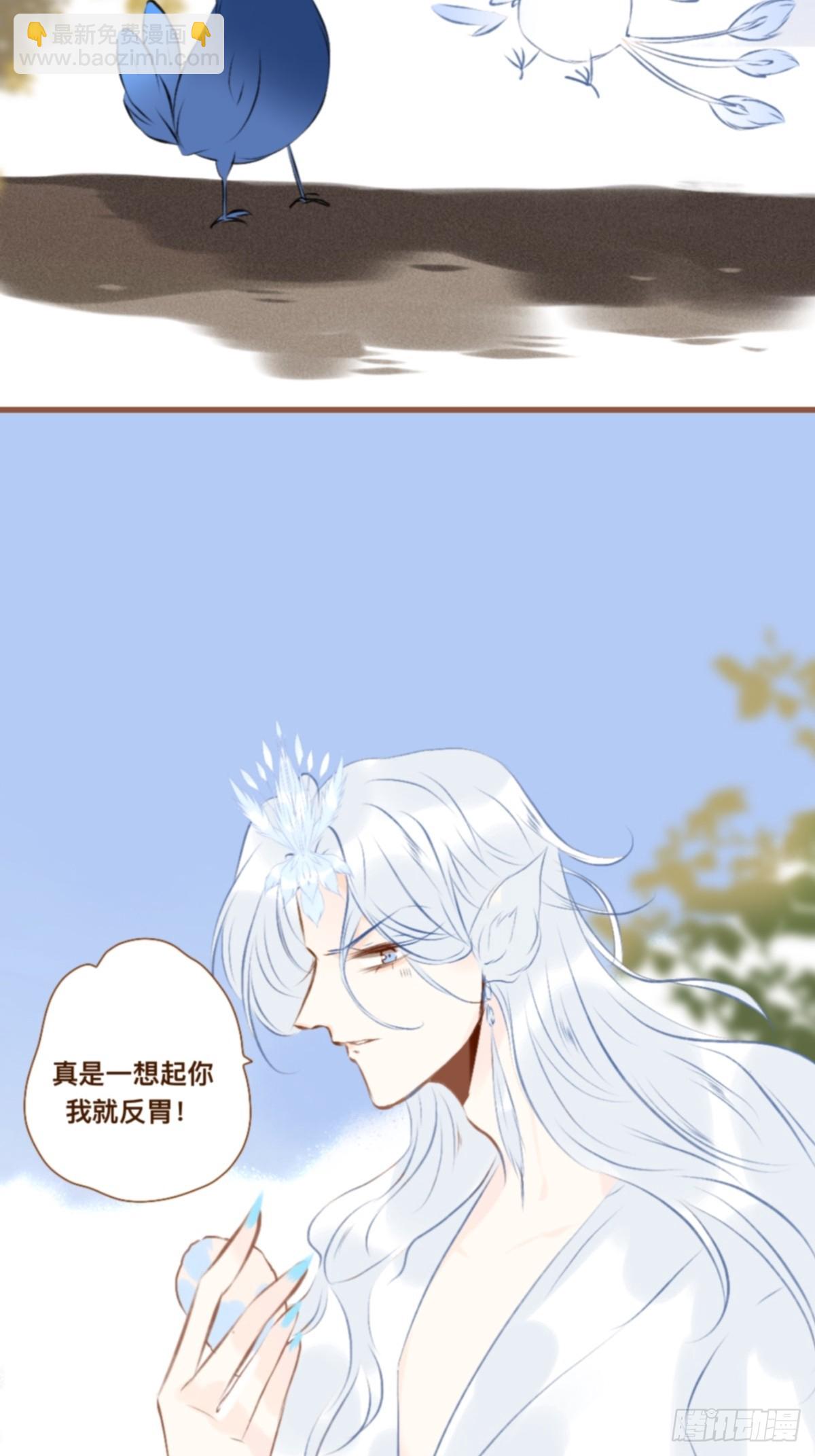 小鳥和他二大爺 - 第九章 一隻精緻的小鳥 - 3
