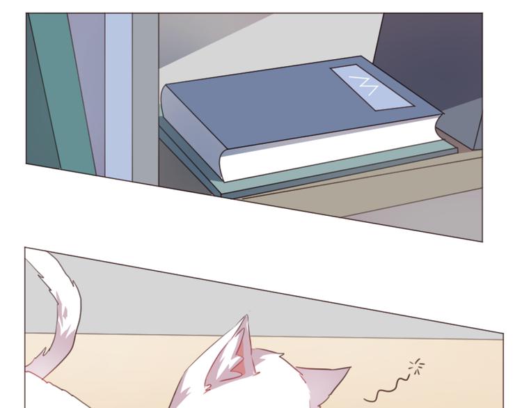 第51话 杜柯受伤(1/2)-第51话