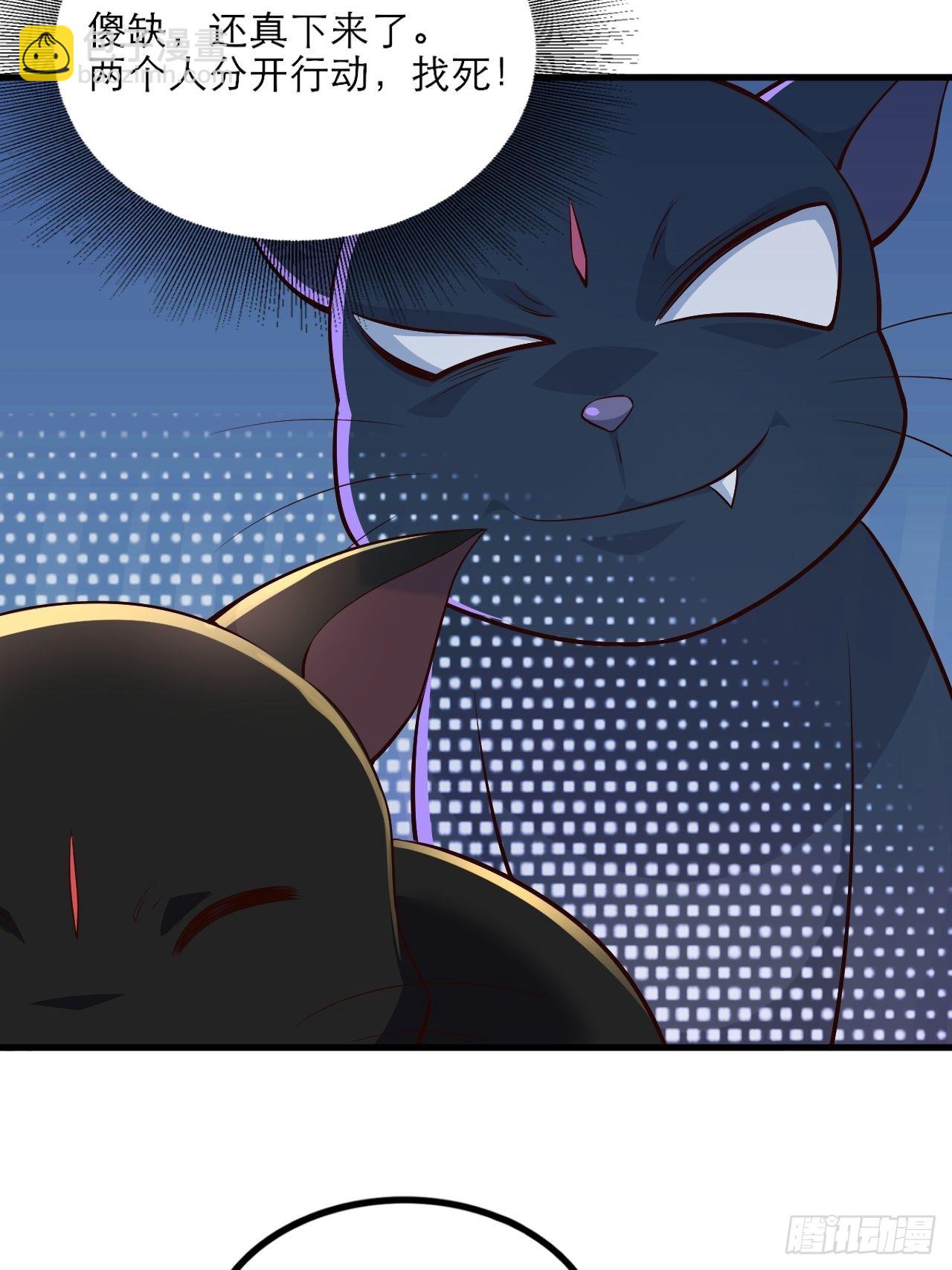 92-看我喵喵拳~-第95话