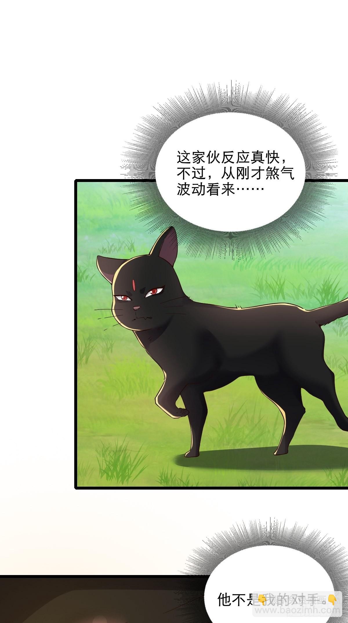 92-看我喵喵拳~-第95话