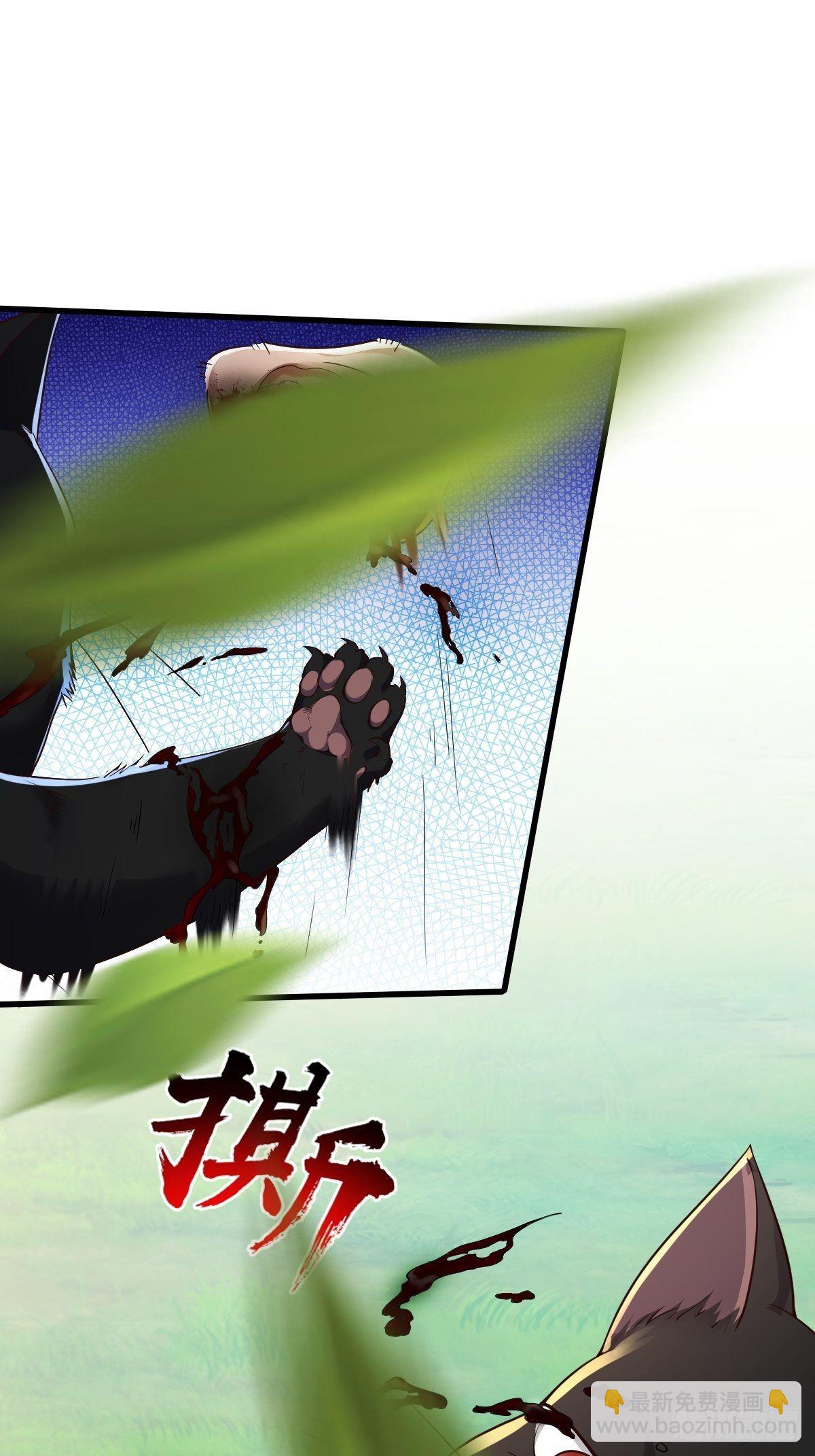 92-看我喵喵拳~-第95话