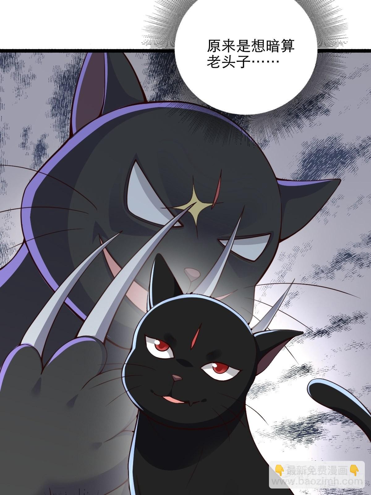 92-看我喵喵拳~-第95话