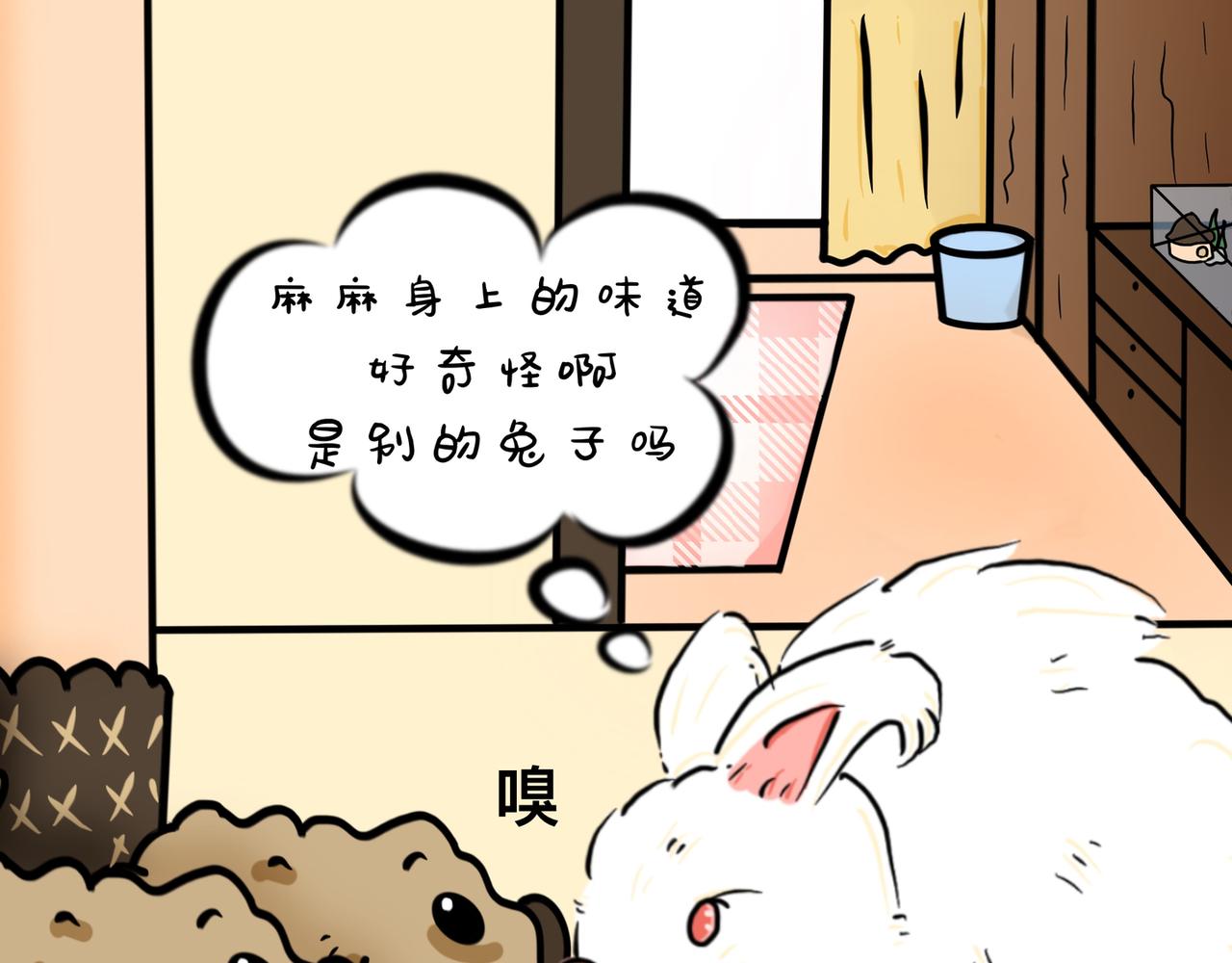 什么，你在外面有兔了-第25话