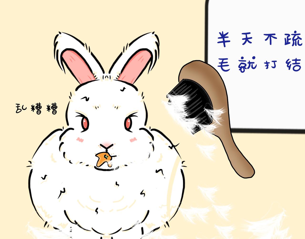 养兔碎碎念1-第9话