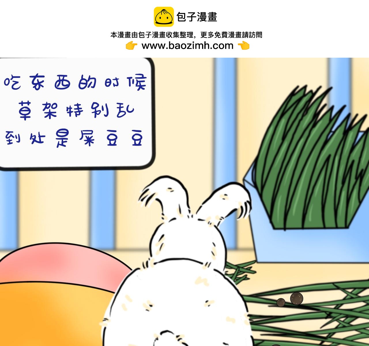 养兔碎碎念1-第9话