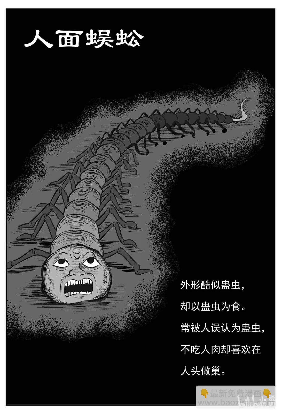 小智怪談 - 1041 四人不回頭 - 1