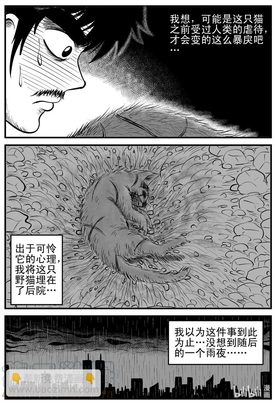 小智怪談 - 163 貓 - 1