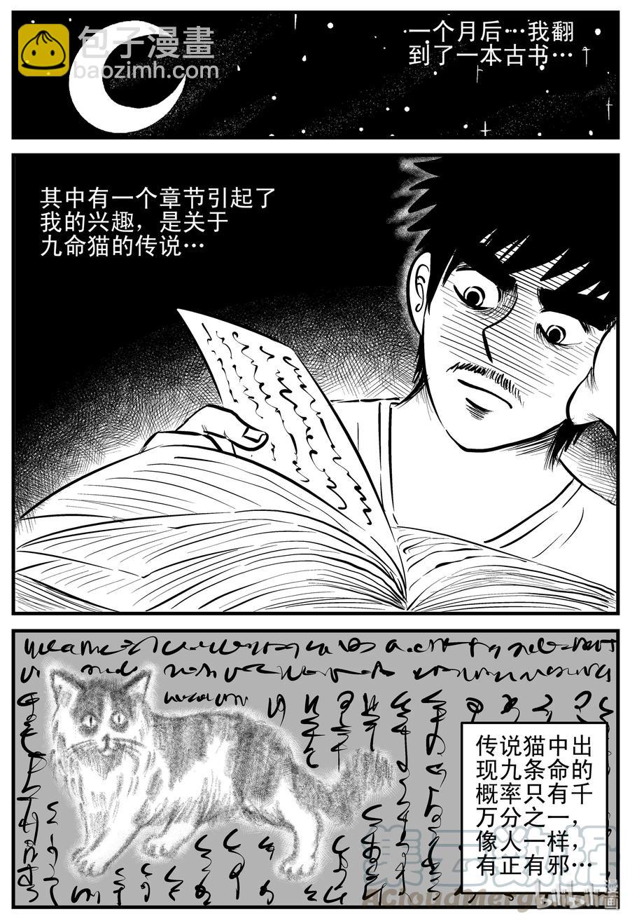 小智怪談 - 163 貓 - 2