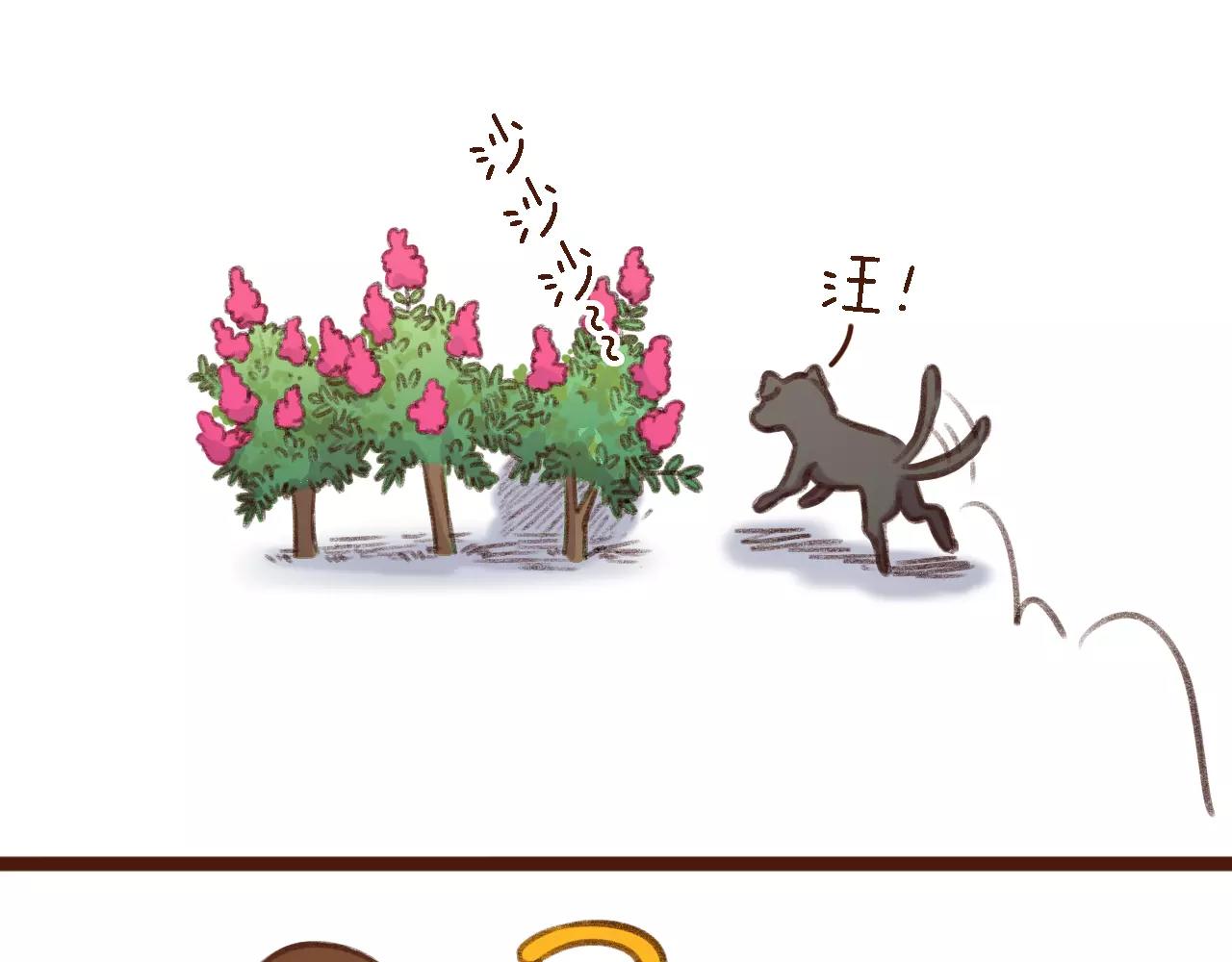 第13话 偷窥者(1/2)-第13话