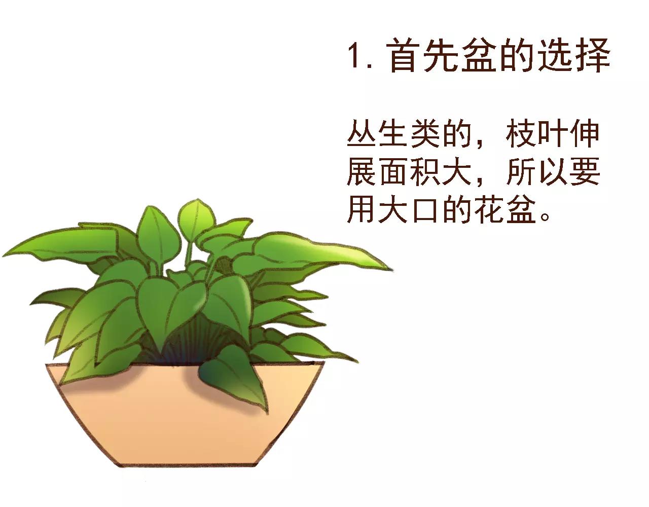 第19话 好朋友？(1/2)-第19话