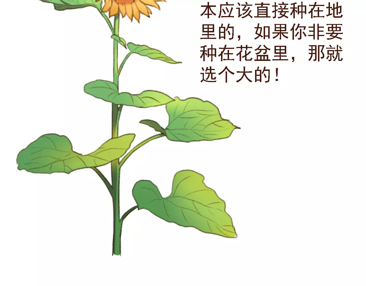 第19话 好朋友？(1/2)-第19话