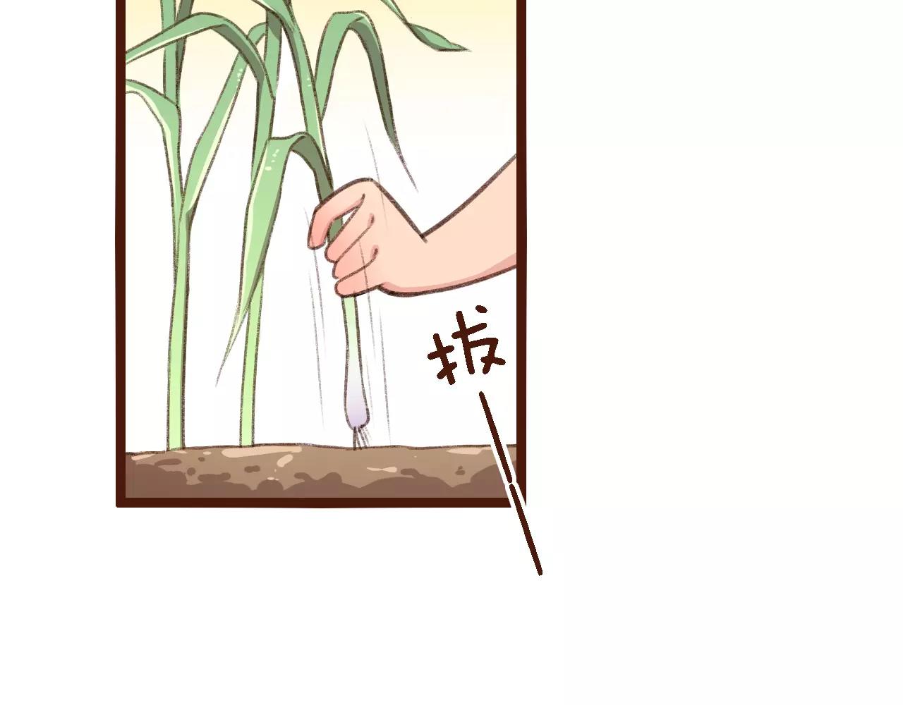 第7话 葱？蒜？(1/2)-第7话