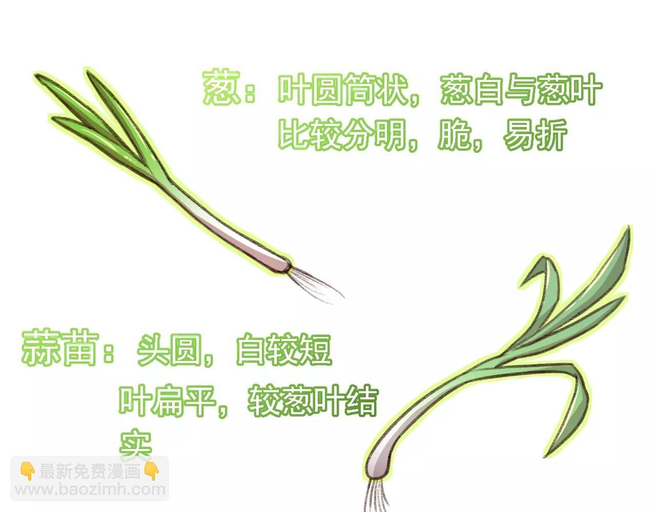 第7话 葱？蒜？(1/2)-第7话