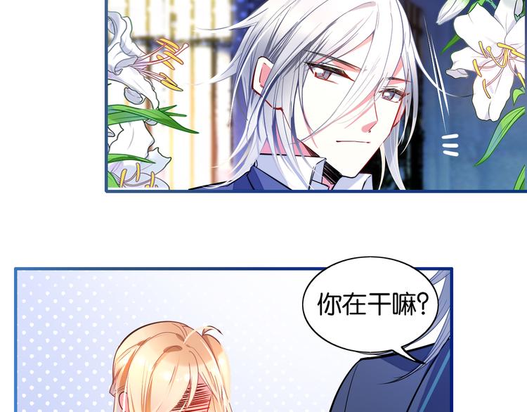 第31话 烟花-第31话