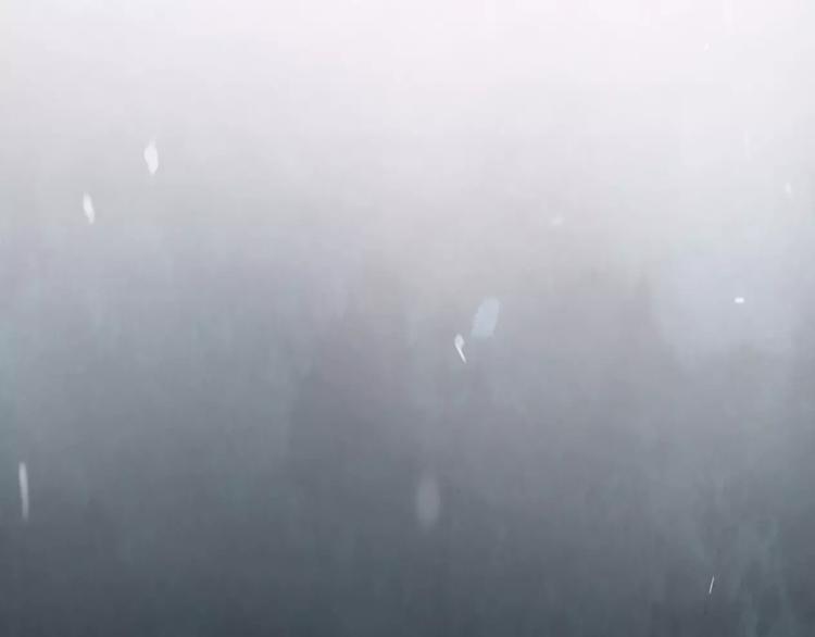 序章 等待千年(1/2)-第1话