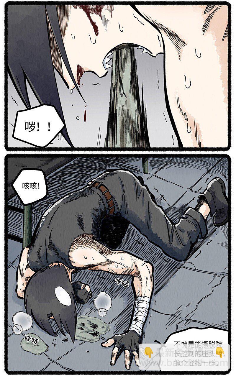 046 虎鲸遇座头鲸-第47话