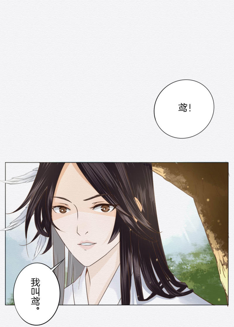 重新选择-第35话