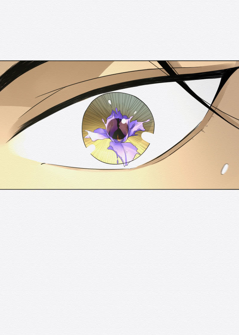 鸢尾花-第47话