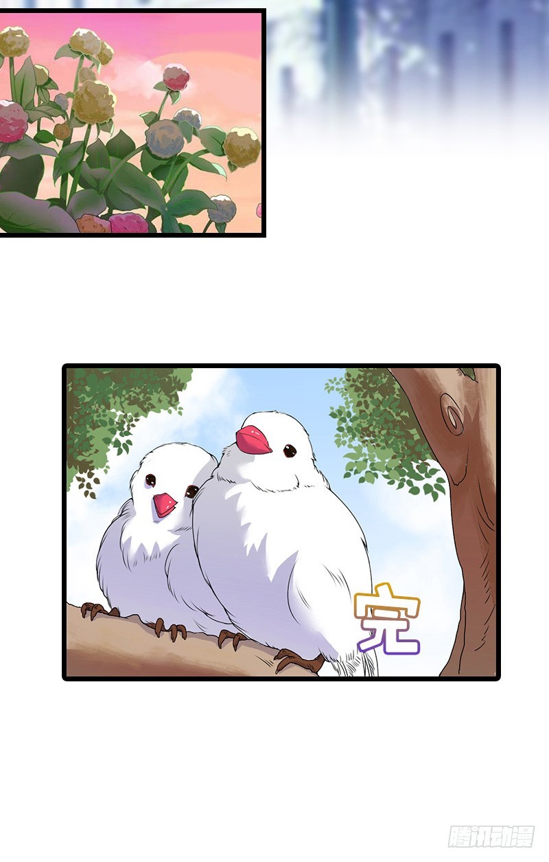 第24话 我们结婚吧-第33话