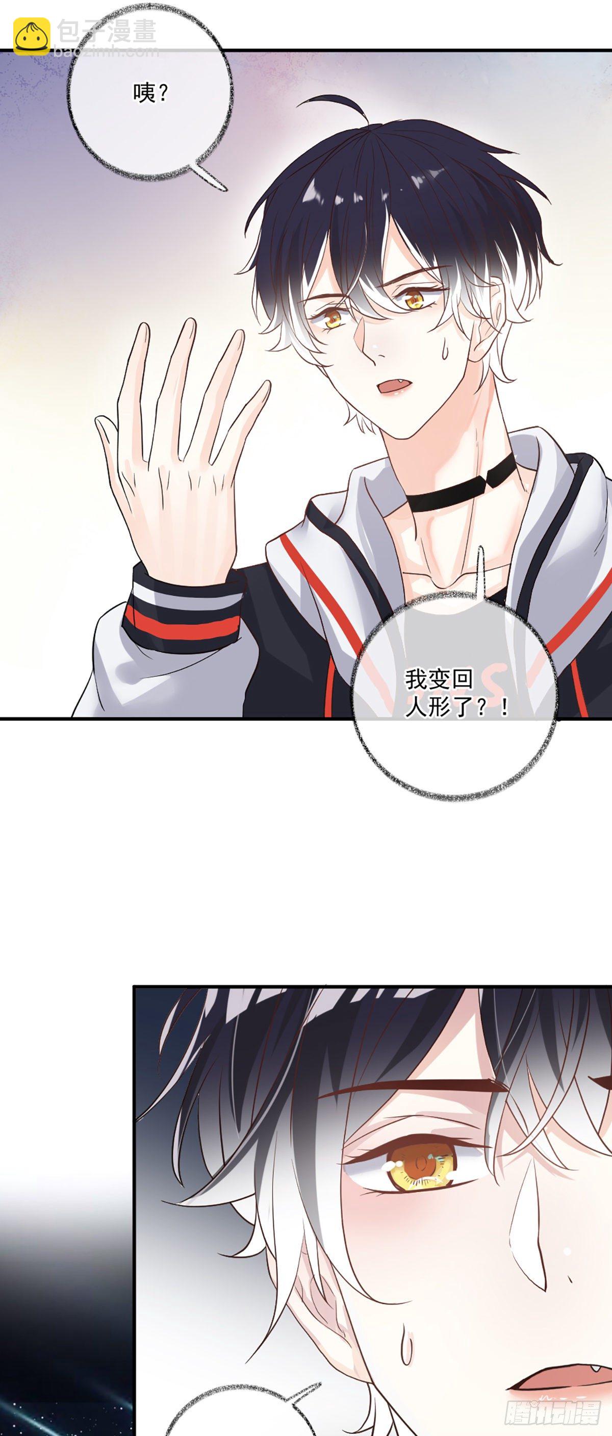 戲精的強制報恩 - 再次相見喵~ - 3