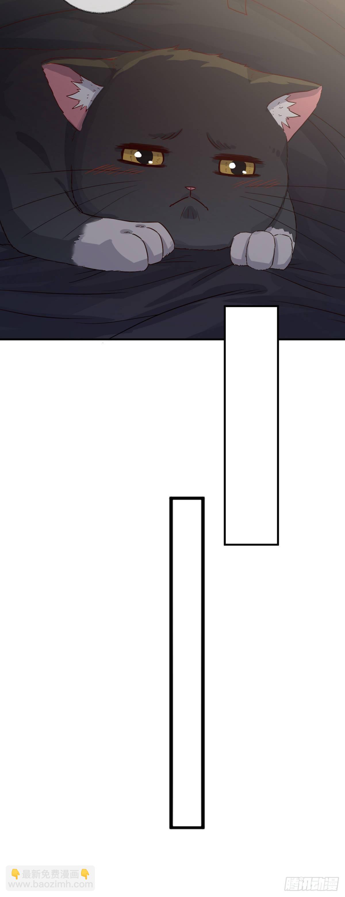 戲精的強制報恩 - 小叔再打我一次喵~ - 4