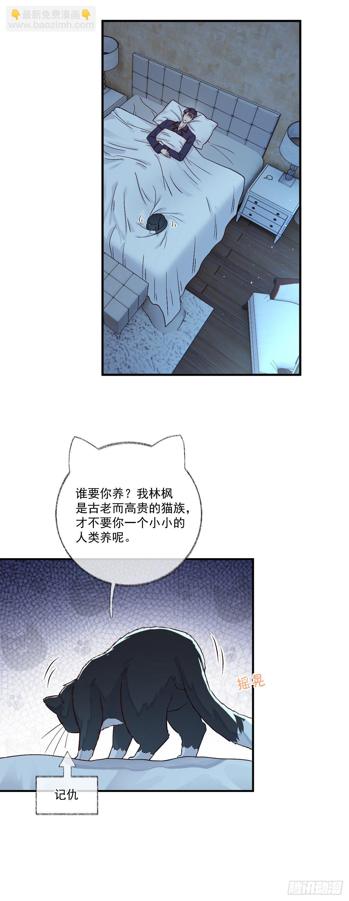 戲精的強制報恩 - 小叔再打我一次喵~ - 3