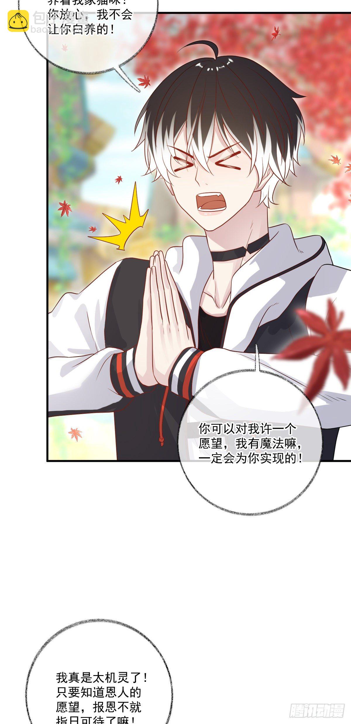 戲精的強制報恩 - 我養你喵~ - 4