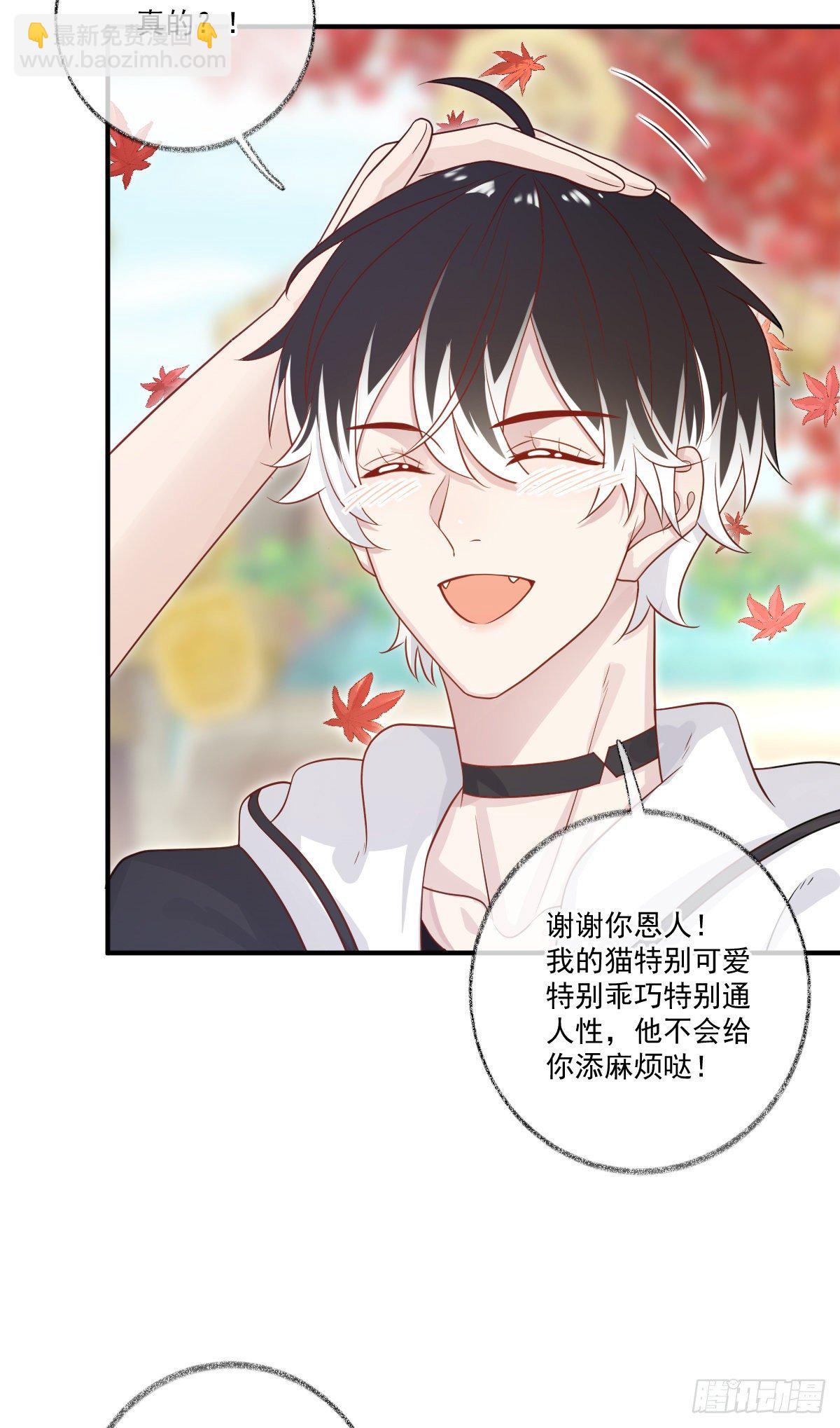 戲精的強制報恩 - 我養你喵~ - 1