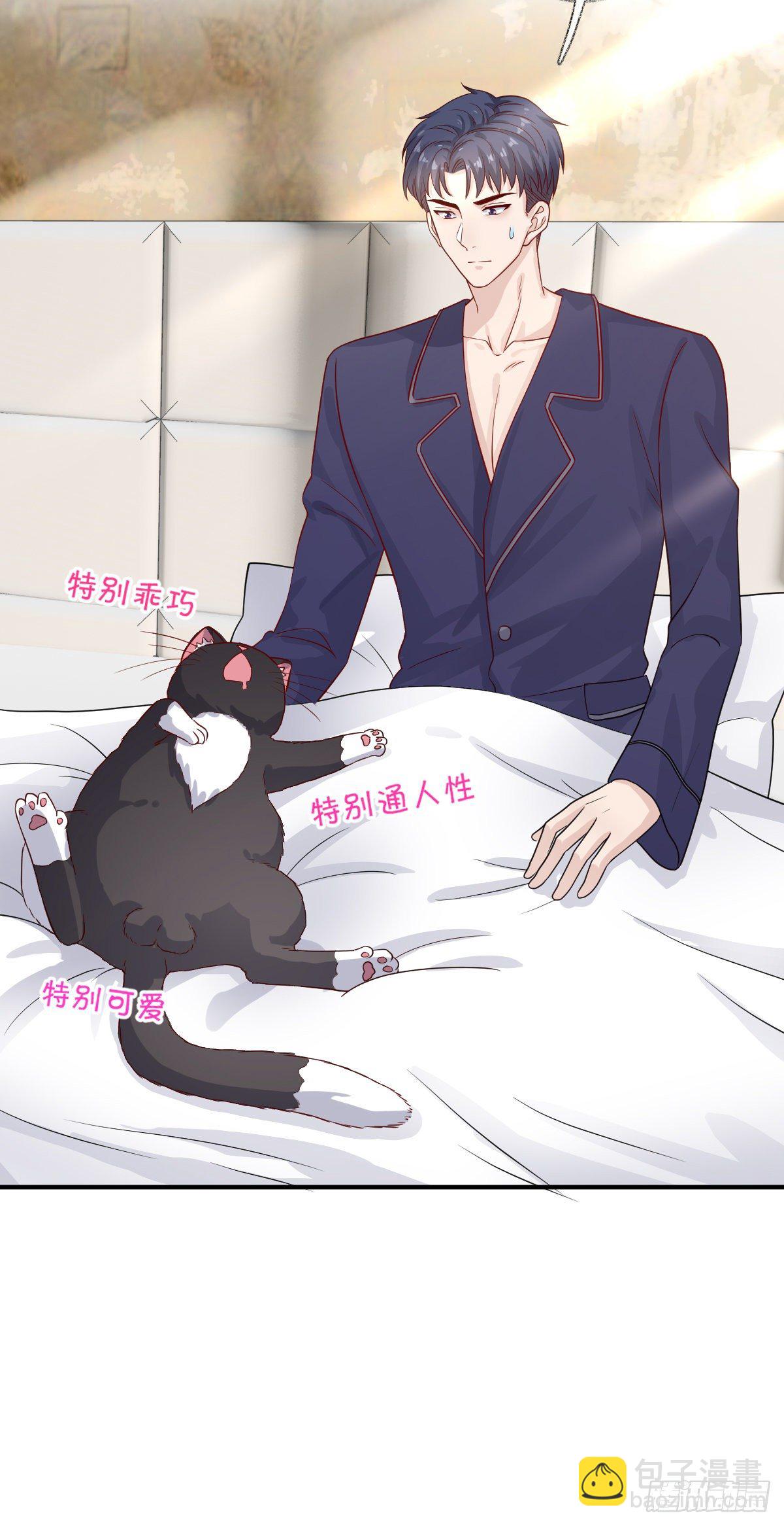 戲精的強制報恩 - 我養你喵~ - 1