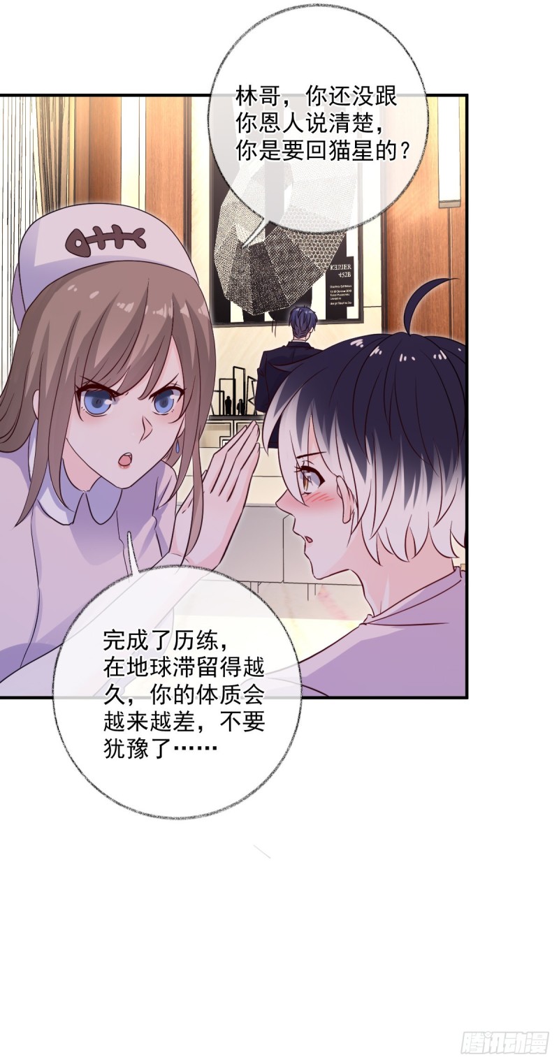 戲精的強制報恩 - 生病了喵~ - 6