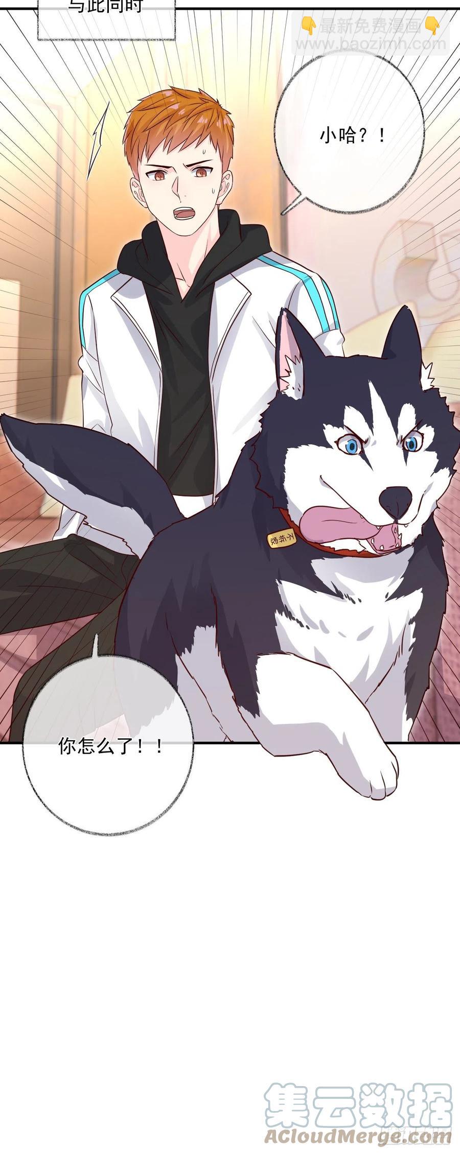 戲精的強制報恩 - 汪汪汪喵~ - 1