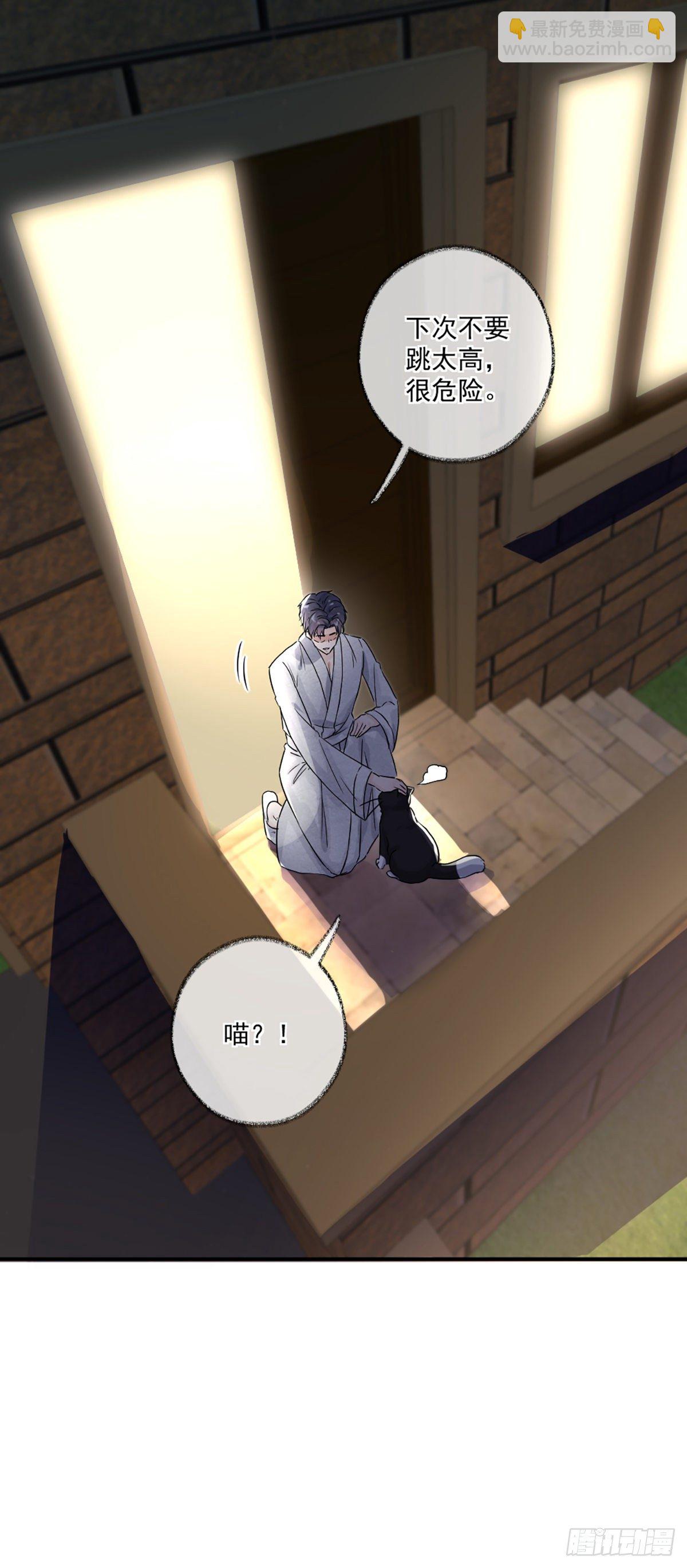 戲精的強制報恩 - 恩人嘴硬心軟喵~ - 1