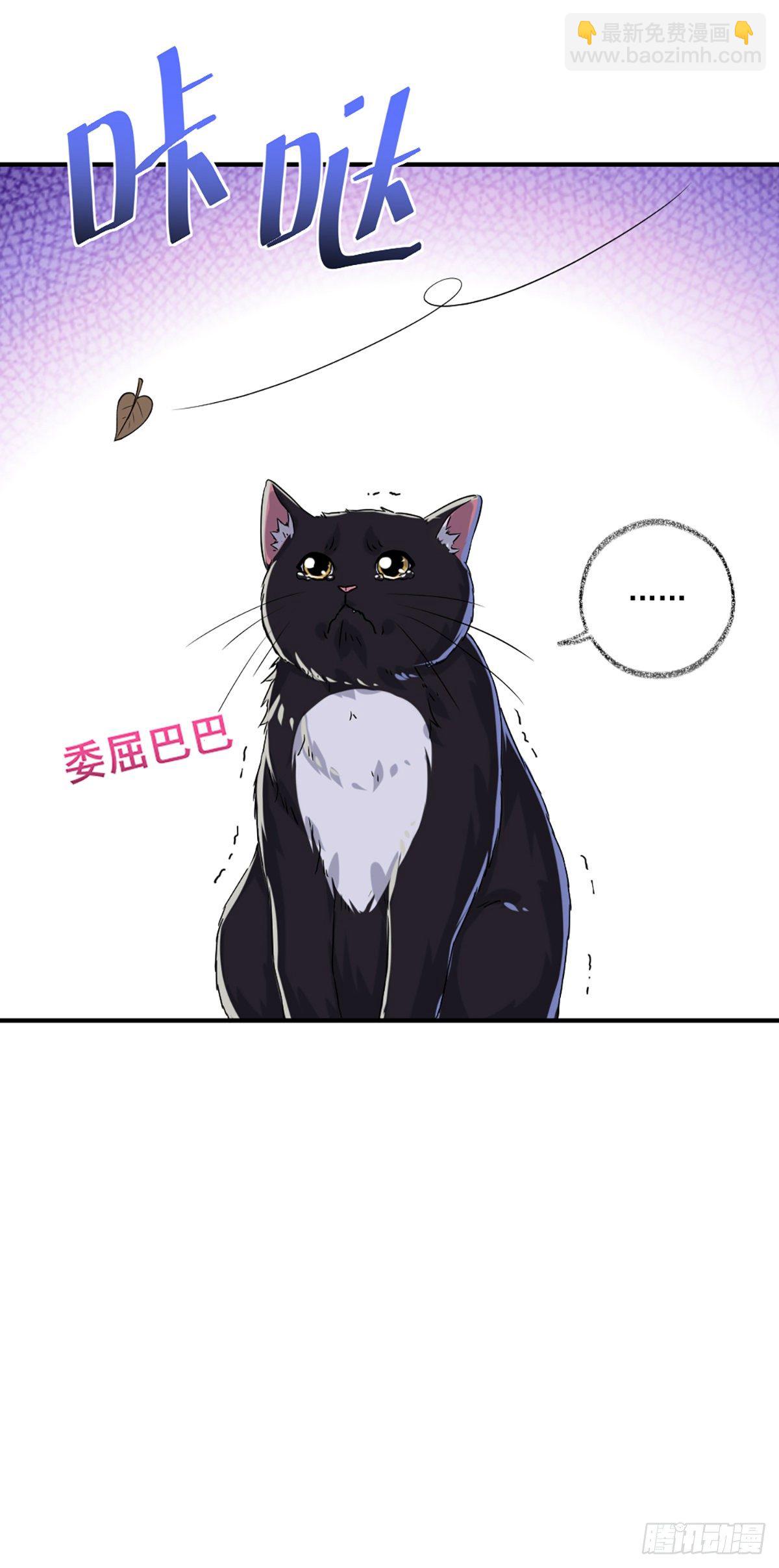 戲精的強制報恩 - 恩人嘴硬心軟喵~ - 2