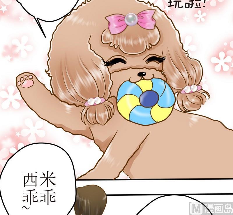 第11话 我也要球球嘛-第11话