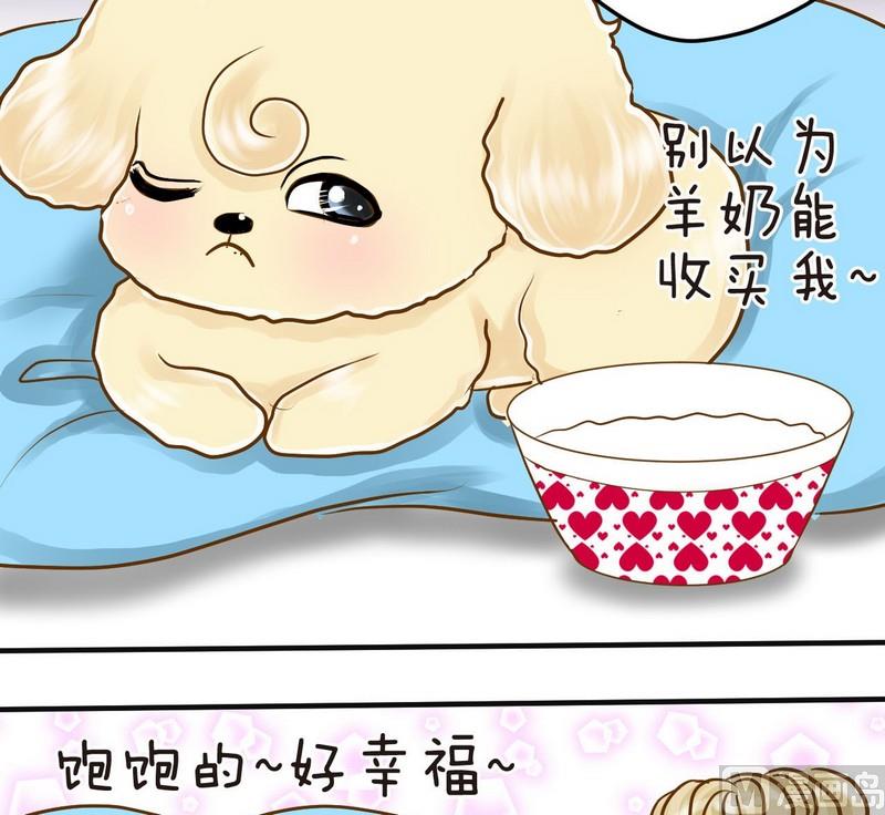 第11话 我也要球球嘛-第11话