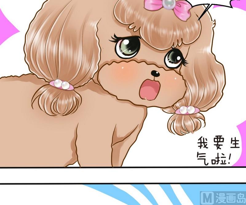 第11话 我也要球球嘛-第11话