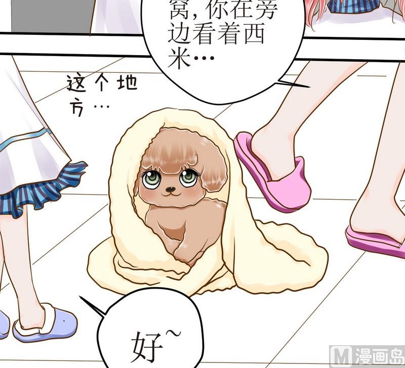 第15话 番外 初见西米（上）-第15话