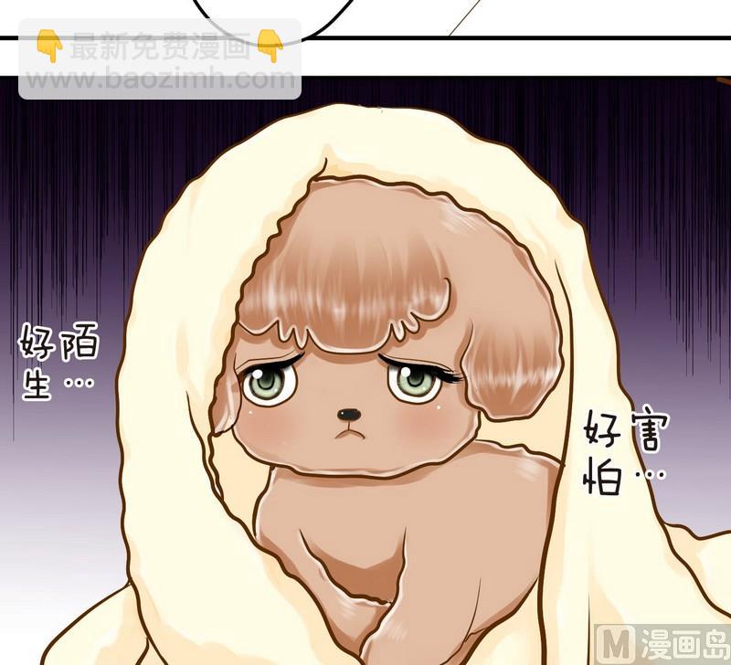 第15话 番外 初见西米（上）-第15话