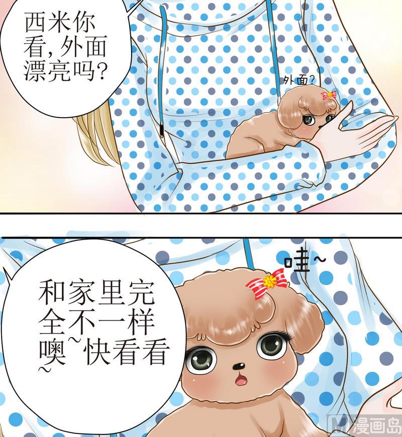 第19话 关于外出(上)-第19话