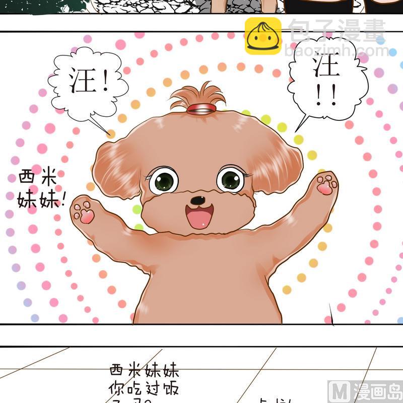 第19话 关于外出(上)-第19话