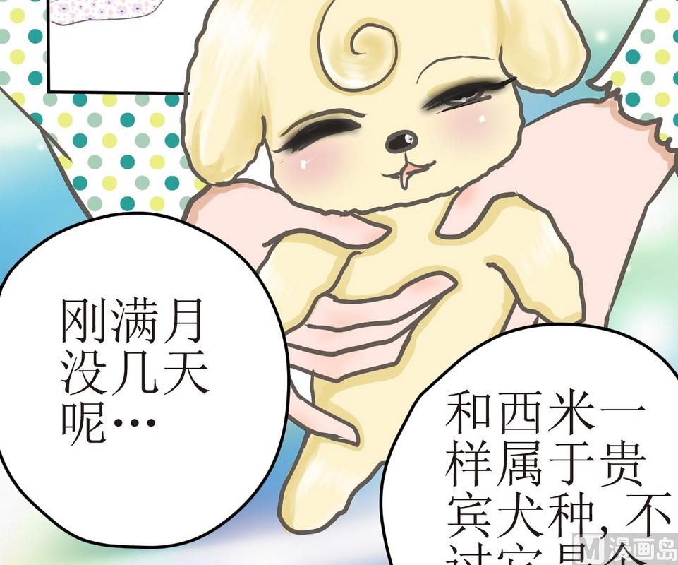 第3话 伤心的小公举-第3话