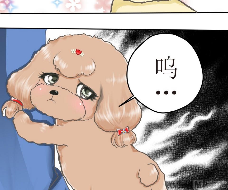 第3话 伤心的小公举-第3话