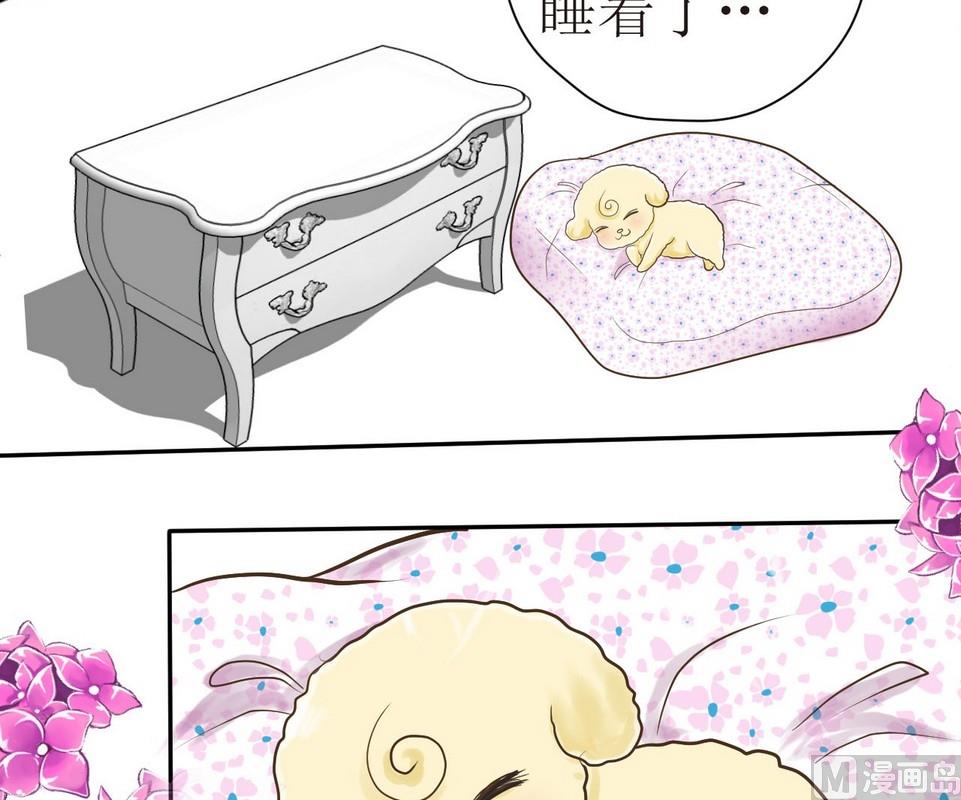 第3话 伤心的小公举-第3话