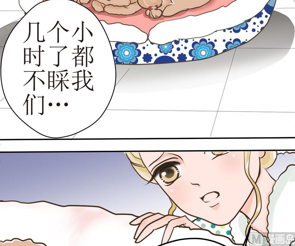 第3话 伤心的小公举-第3话