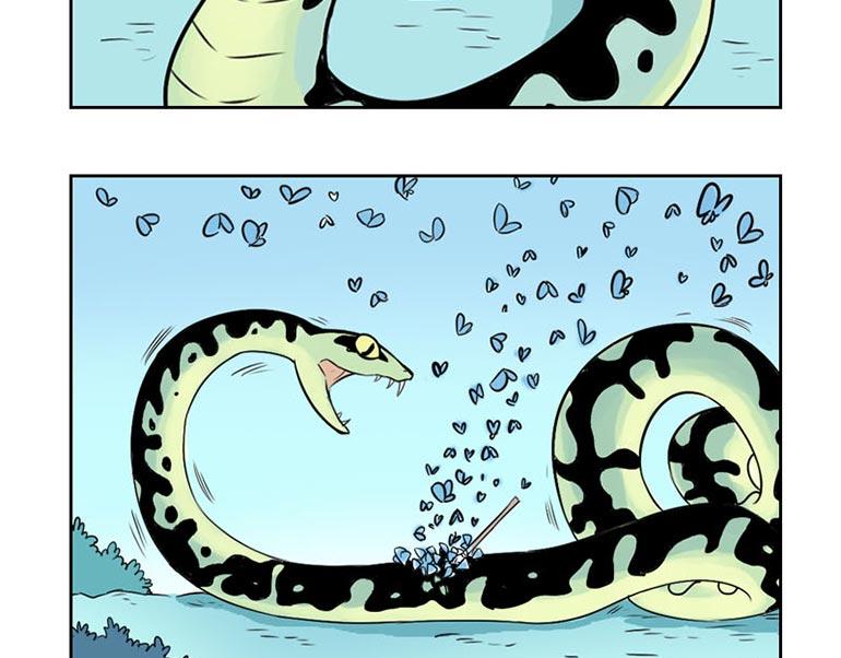 海洋大冒险第十五话-第15话