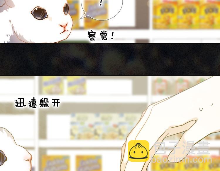 第87话 兔子般的她(1/2)-第75话