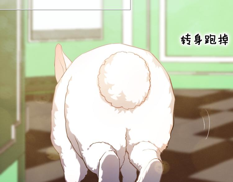 第87话 兔子般的她(1/2)-第75话