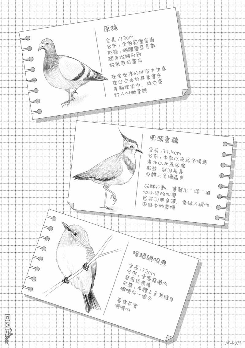 幸福觀鳥 - 02卷彩頁 - 2