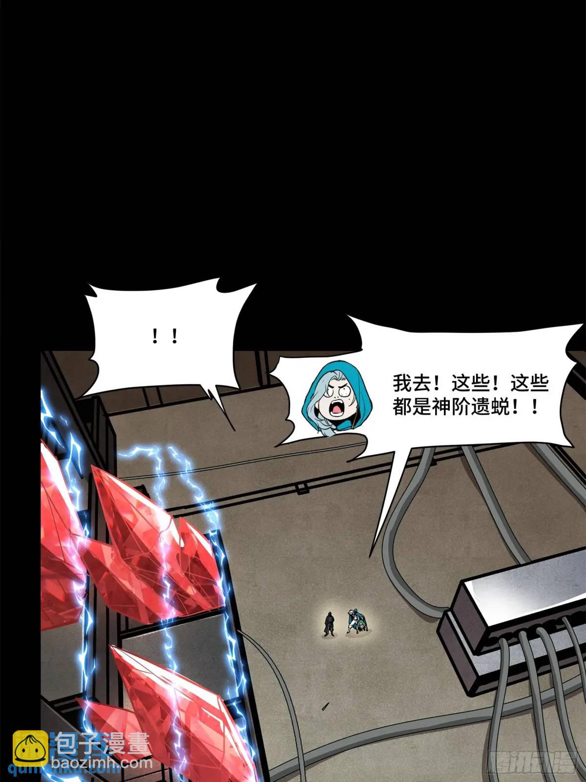 65.jpg